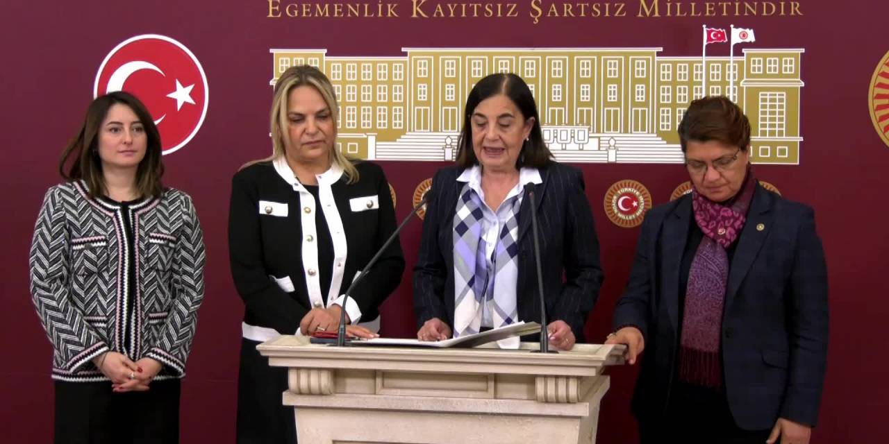 JALE NUR SÜLLÜ: KADINLARIN SANDIKTA GEREKEN DERSİ AKP İKTİDARINA VERECEĞİNE YÜREKTEN İNANIYORUM