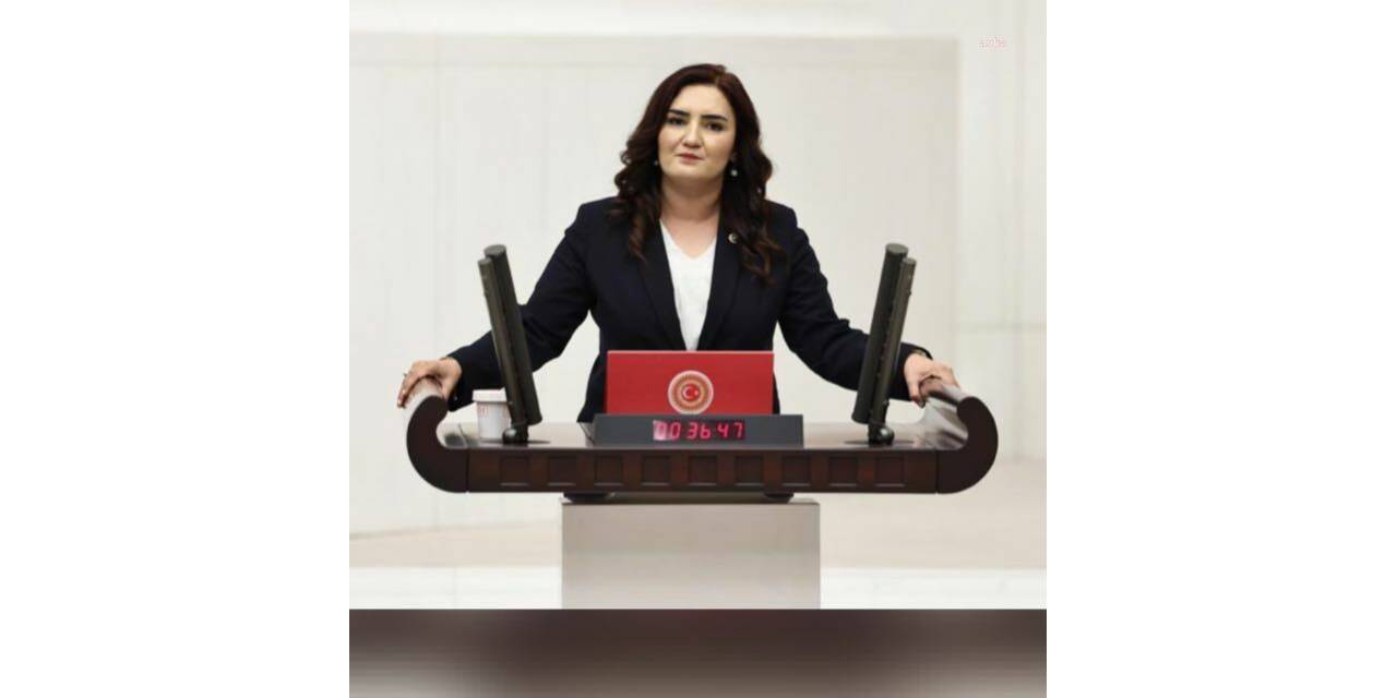 Sevda Erdan Kılıç: "çedes Denen Bu Garabet Artık Laik Cumhuriyet’e Karşı Bir Başkaldırıya Dönüşmüştür”