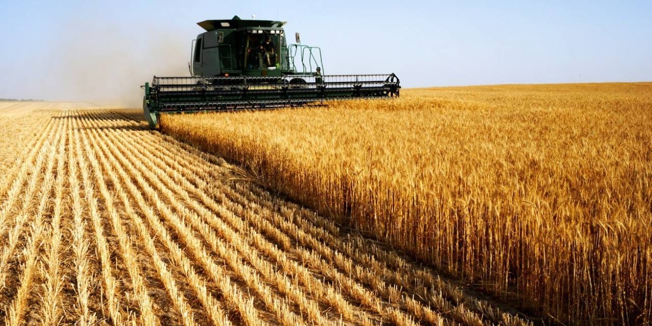 Tüik: Tarımsal Girdi Fiyat Endeksi Yıllık Yüzde 45,11 Arttı