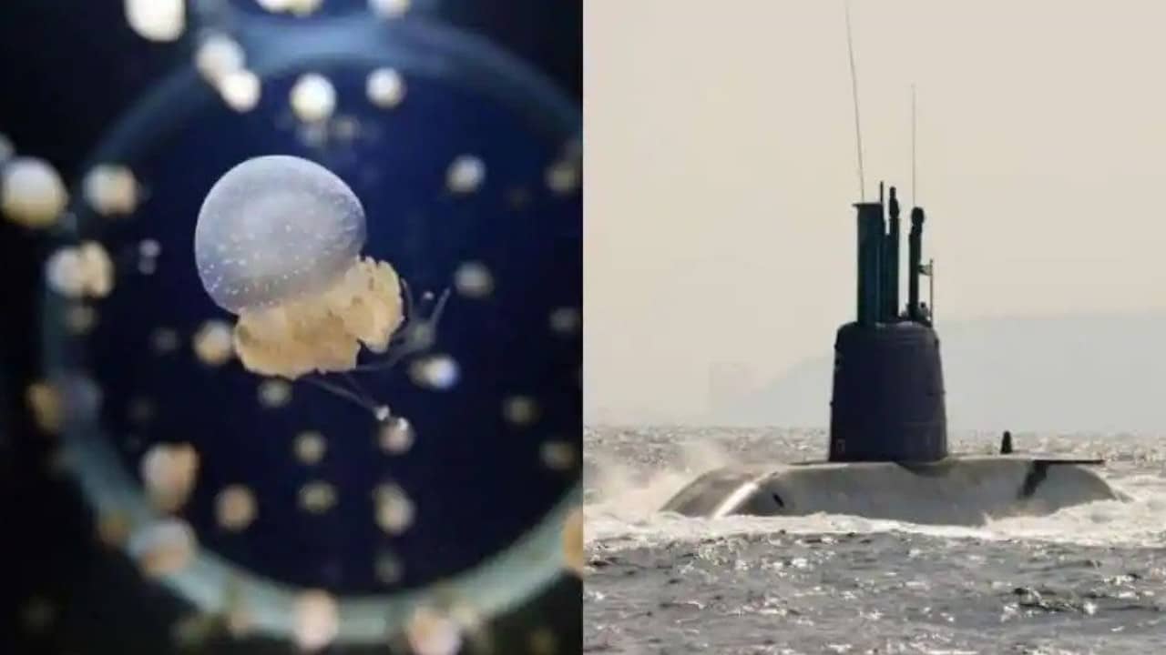 Avustralya nükleer denizaltıları için bir liman arıyor ama bir sorun var