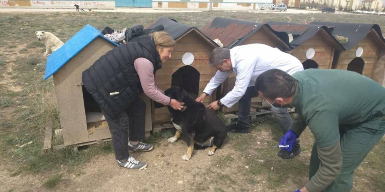 ODUNPAZARI’NDA SOKAK HAYVANLARINI AŞILAMA ÇALIŞMALARI BAŞLADI