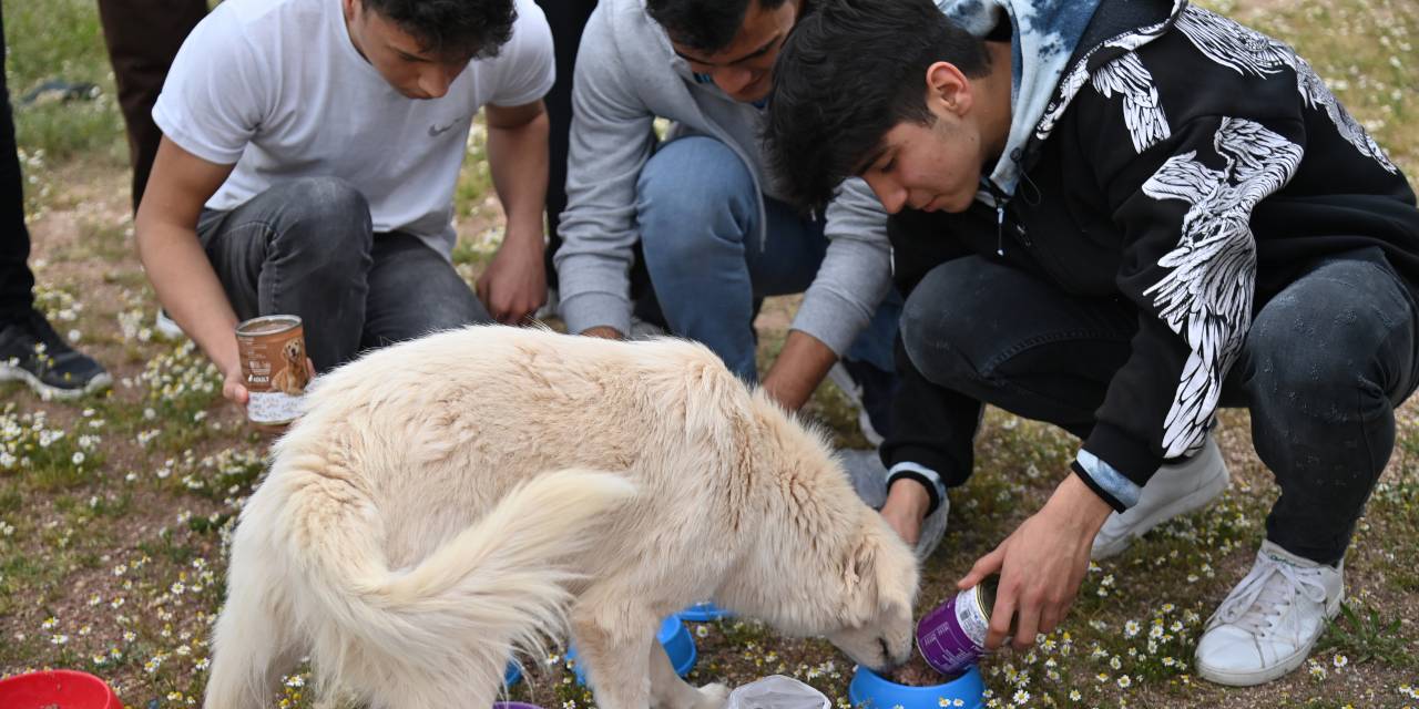 KUMLUCA’DA 4 NİSAN SOKAK HAYVANLARI GÜNÜNE ÖZEL BULUŞMA