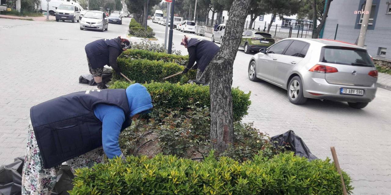 BURHANİYE’DE YABANİ OT TEMİZLİĞİÇALIŞMALARI BAŞLADI