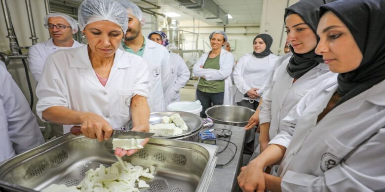 Mozzarella, Türkiye kırsalındaki kadınlara yeni bir geçim kaynağı sağlıyor