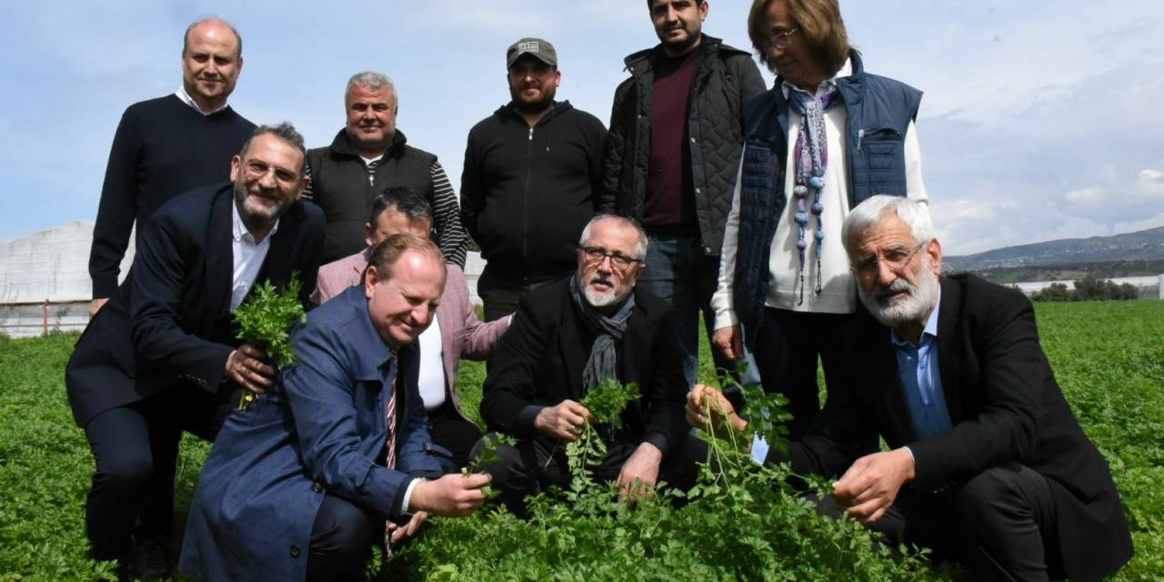 ARSUZ BELEDİYE BAŞKANI GÜVEN, TARIMSAL ÜRETİM SAHALARINI İNCELEDİ