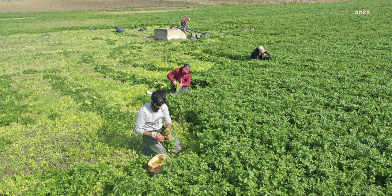 ADANA BÜYÜKŞEHİR DESTEKLİ MERYEM KADIN KOOPERATİFİ, KADININ, KÜÇÜK ÇİFTÇİNİN VE DEPREMZEDENİN YANINDA