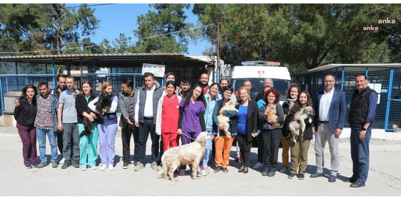 DÜNYA VETERİNER HEKİMLER GÜNÜ, BODRUM'DA KUTLANDI