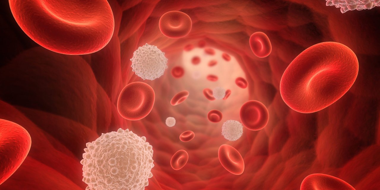 Japon bilim insanı kan grubu ile kişilik arasıdaki bağı açıkladı