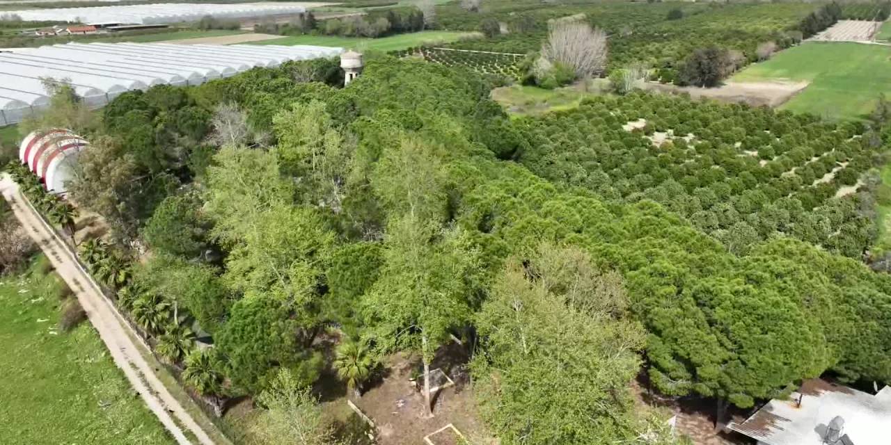 ANTALYA BÜYÜKŞEHİR BELEDİYESİ BİLİM KÖYÜ’NDE İZCİLER, KUŞ HALKALAMA KAMPINA KATILDI