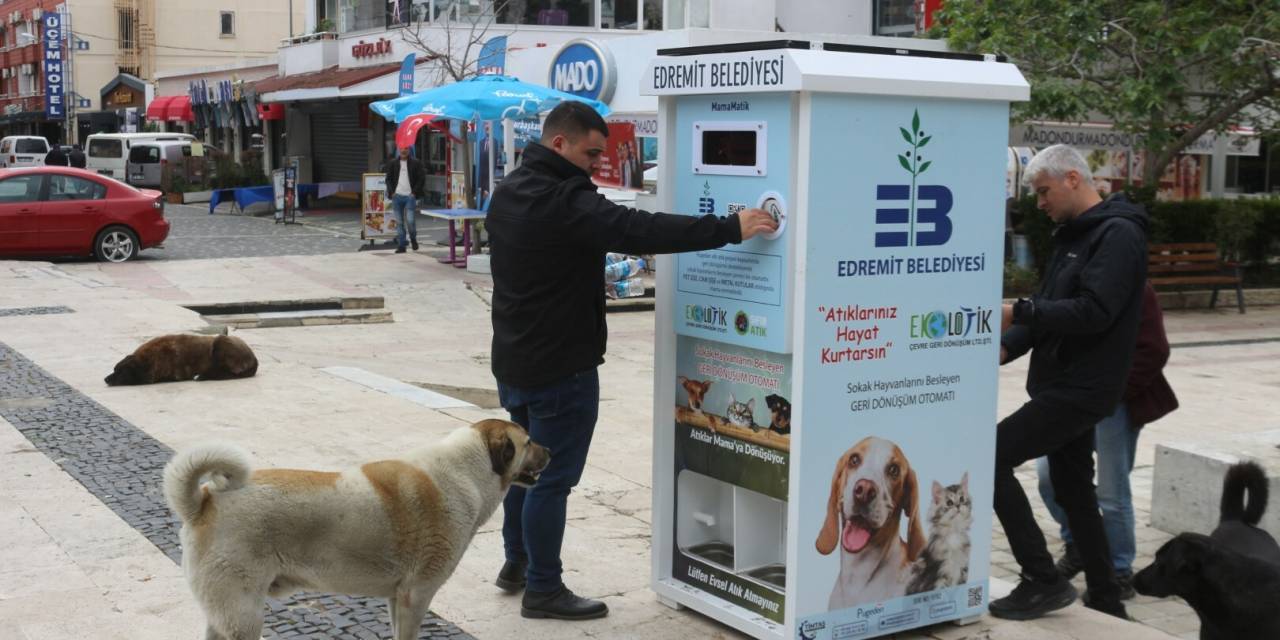 EDREMİT BELEDİYESİ’NDEN SOKAK HAYVANLARI İÇİN ‘MAMAMATİK’ PROJESİ