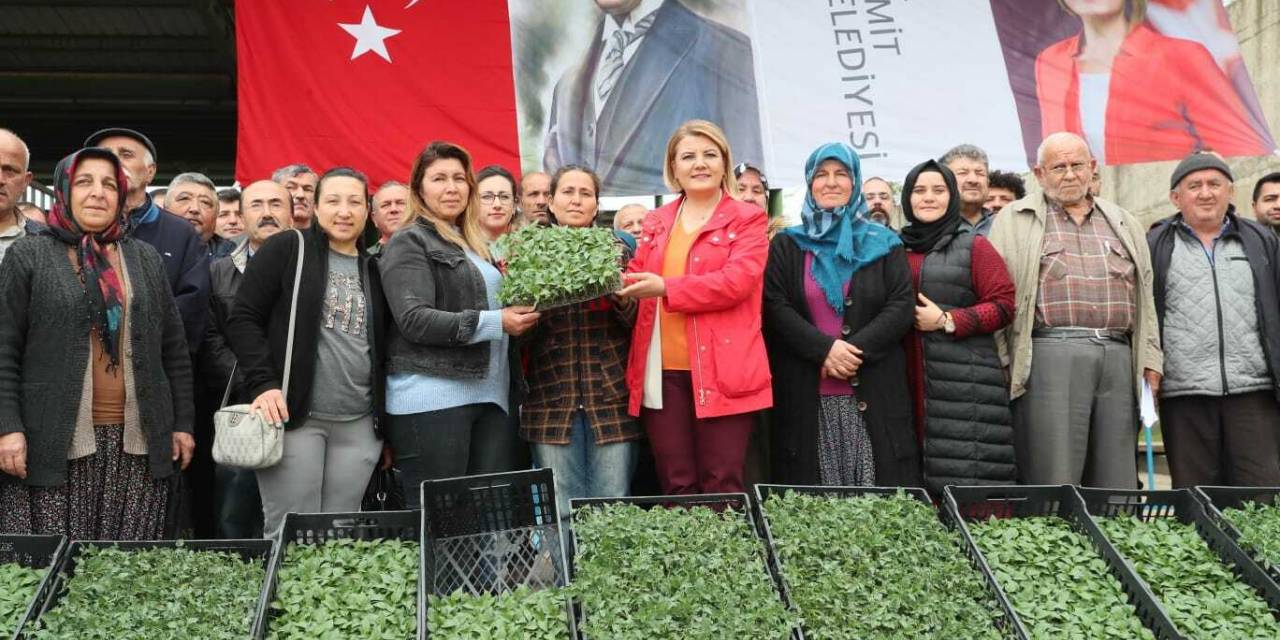 İZMİT BELEDİYESİ, 52 KÖYDE ÇİFTÇİLERE SEBZE FİDESİ DAĞITACAK