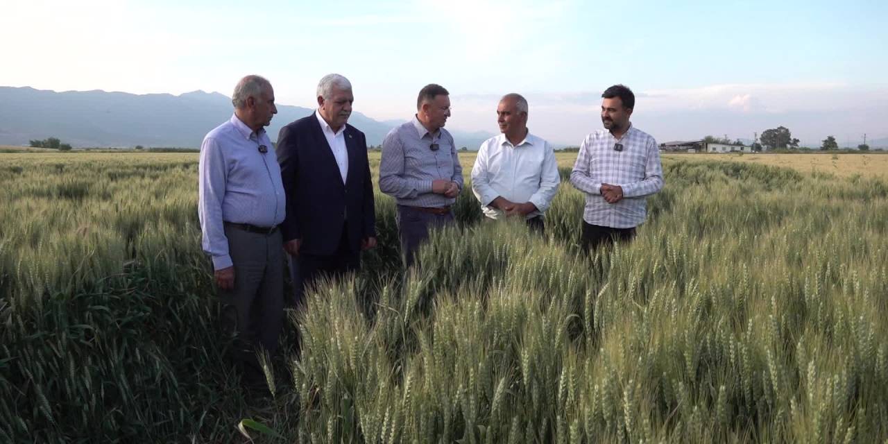 HATAY BÜYÜKŞEHİR BELEDİYE BAŞKANI LÜTFÜ SAVAŞ, KIRIKHAN’DA ÇİFTÇİLERLE BİR ARAYA GELDİ