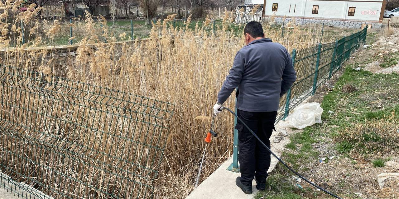 KIRŞEHİR BELEDİYESİ EKİPLERİ, SİNEK VE HAŞERELERE KARŞI İLAÇLAMA ÇALIŞMALARINI SÜRDÜRÜYOR