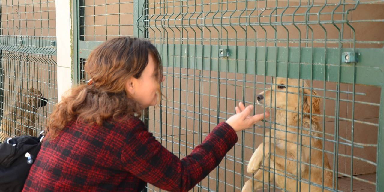 BOZÜYÜKLÜÖĞRENCİLERDEN BARINAK ZİYARETİ