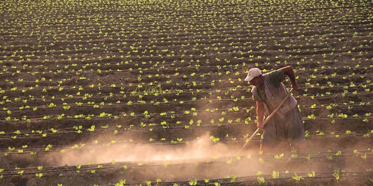 TÜİK: TARIMSAL GİRDİ FİYATLARI İLK ÜÇ AYDA YÜZDE 9,05 ARTTI