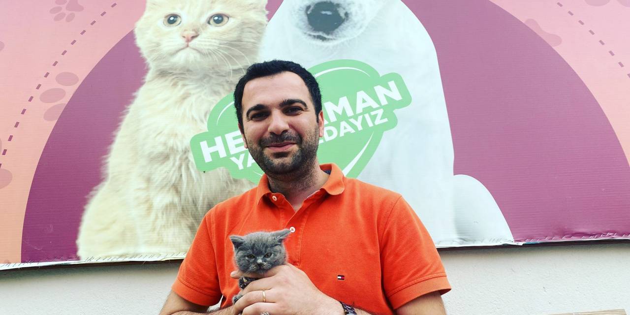 DEPREMZEDE KEDİLER YENİ EVLERİNE KAVUŞTU