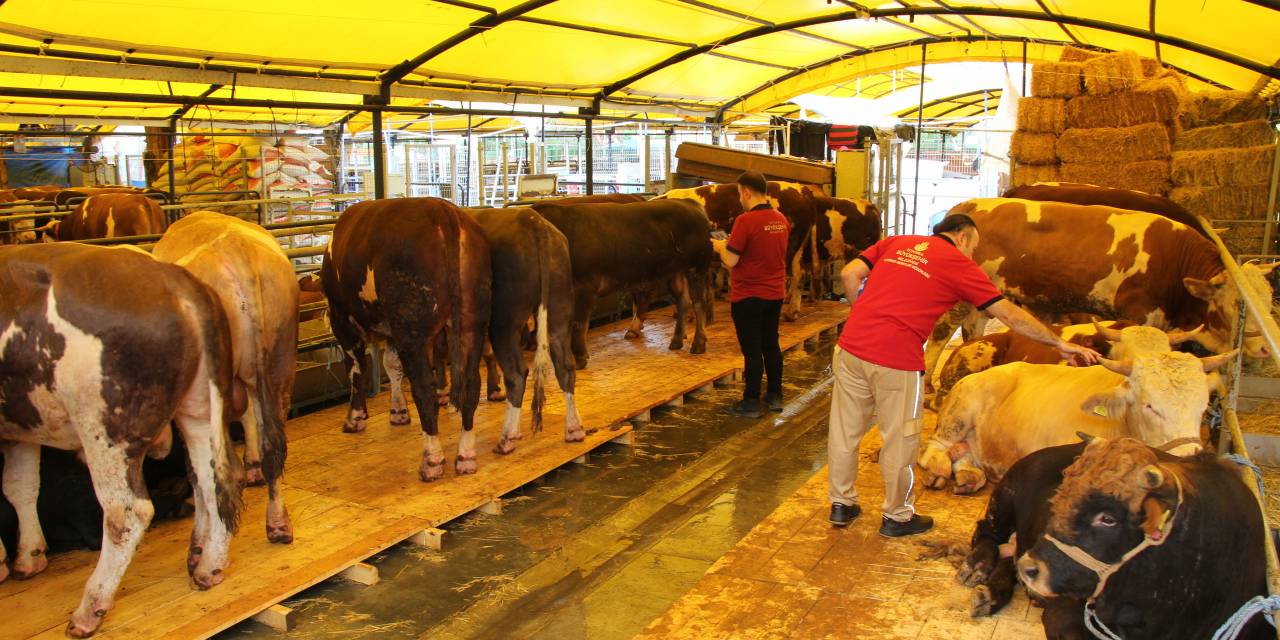 İbb, Kurban Bayramı İçin Hazırlıklarını Tamamladı. Bayramda Toplu Ulaşım Ücretsiz Olacak