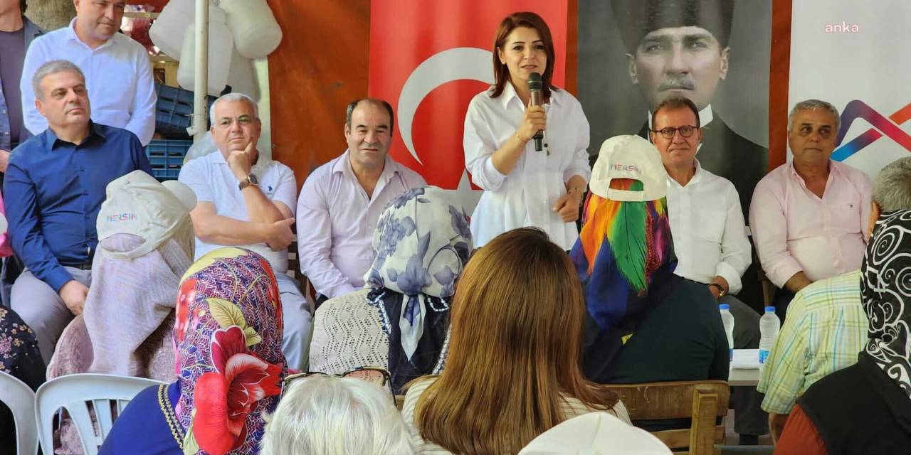 Chp Milletvekili Gülcan Kış: “Hükümetin Artık Mersin’e Bakması Gerekiyor”