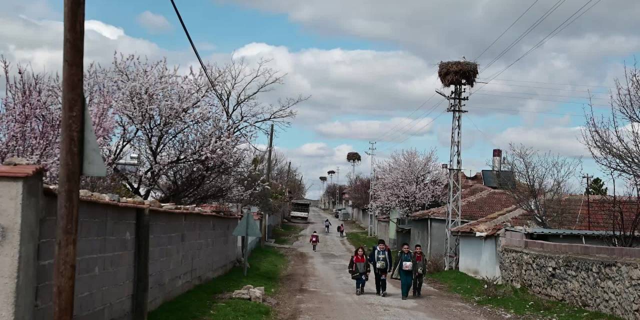 YOZGAT’TA GÖÇMEN KÖYLÜLERİ, YILLARDIR KÖYLERİNE GELEN LEYLEKLERE EV SAHİPLİĞİ YAPIYOR