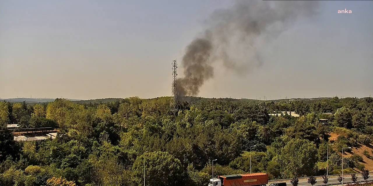 İstanbul'da Hasdal Askeri Kışlası'nın İçerisindeki Ormanlık Alanda Yangın Çıktı