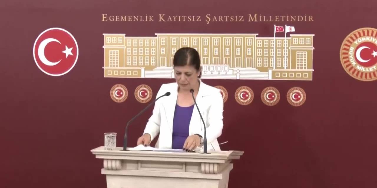 Meral Danış Beştaş: “Merkez Bankası En Üst Düzeyde ‘Ekonomiçok Kötü Gidiyor’ Demiş Oldu”