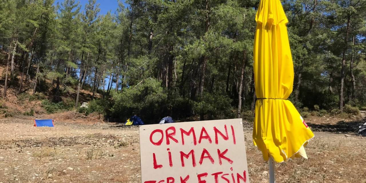 Muğla Valiliği, Akbelen’deki Ağaç Kesiminin Tamamlandığını Açıkladı