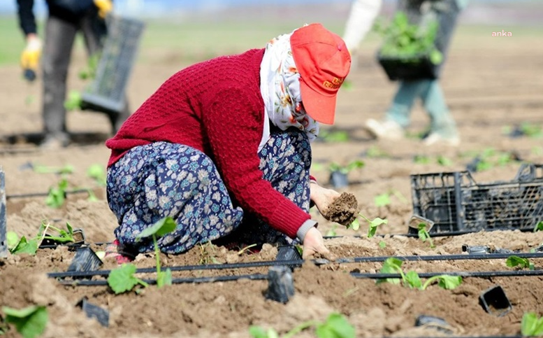 Tüik: Üretici Fiyatları Temmuzda Yüzde 8,23 Arttı