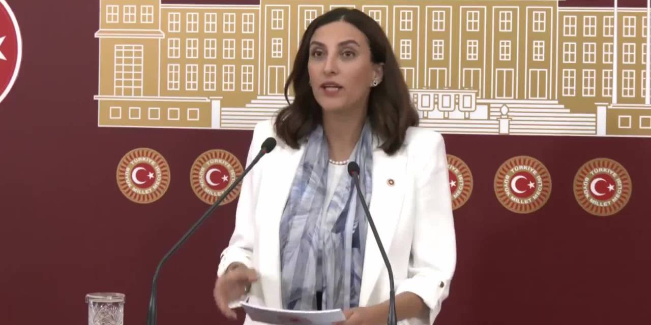 Evrim Rızvanoğlu: “Akbelen’i Savunmayı Bir Vatanperverlik Meselesi Olarak Görüyoruz”