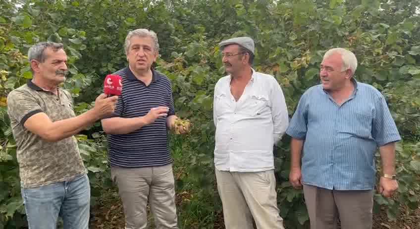 Murat Çan, Fındık Üreticilerini Ziyaret Etti: "Türk Fındık Üreticisine İhanet Ediliyor"