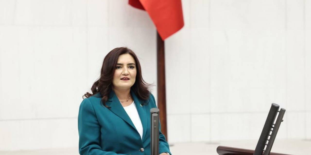 Chp’li Sevda Erdan Kılıç, Kayıp Genci Tbmm Gündemine Taşıdı: “Veli Eren Atay Nerede?”