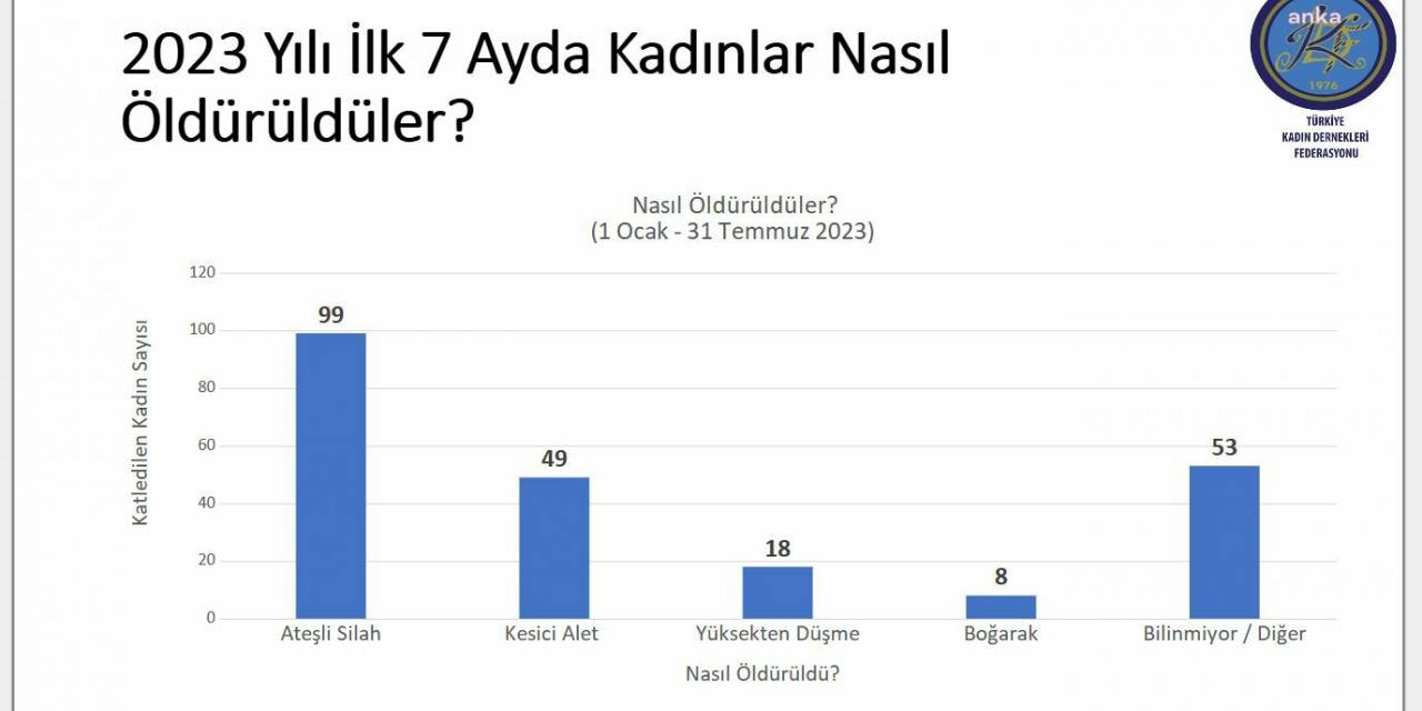 Türkiye Kadın Dernekleri Federasyonu'nun Temmuz Ayı Raporu: Yılın İlk 7 Ayında 227 Kadın Öldürüldü