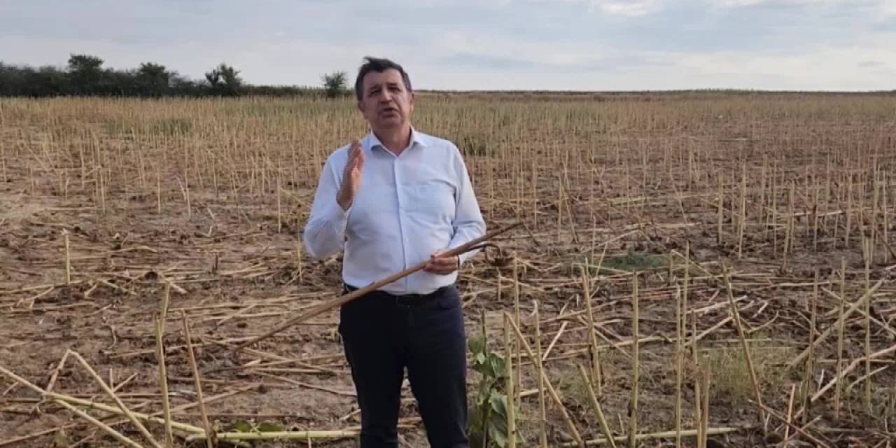 Okan Gaytancıoğlu: “Çiftçiye Bir Kuraklık Ödemesi Yapılması Lazım”