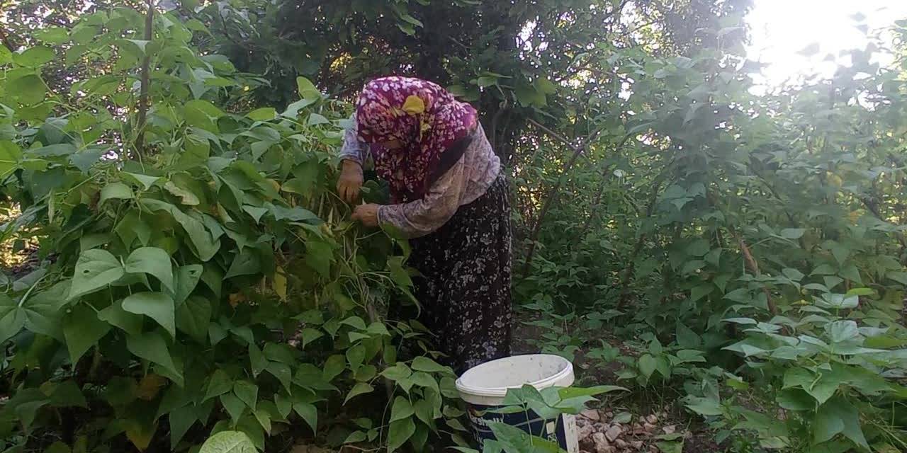 Bilecikli Kadınlar  Ev Yapımı Konserve Hazırlıklarına Devam Ediyor