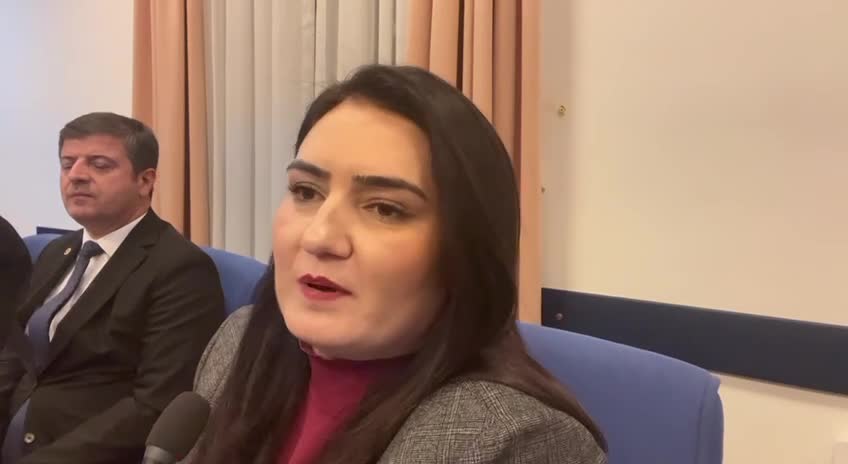 Sevda Erdan Kılıç:  Şipşak Adalet. Bir Savcı Bir Dosaya 1 Saatte; 1 Hakim 2 Saatte Bakıyor