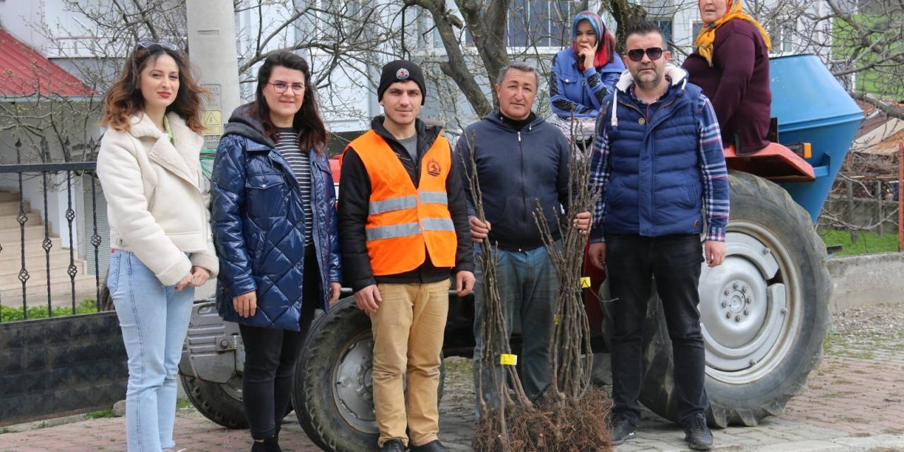 ATAKUM BELEDİYESİ’NDEN ÜRETİCİYE İNCİR FİDANI DESTEĞİ