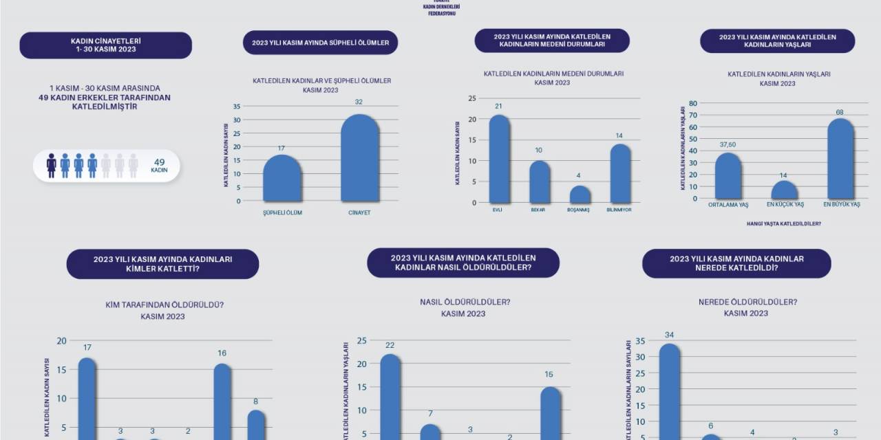 Türkiye Kadın Dernekleri Federasyonu: “Kasım Ayında 49 Kadın Erkekler Tarafından Katledildi”