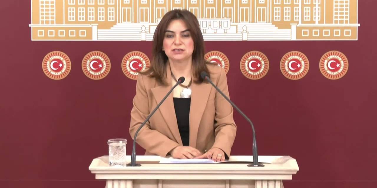 Gülistan Kılıç Koçyiğit: "Gelin Bu Darbeye Hep Beraber Direnelim"