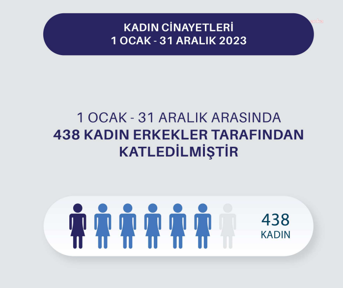 Türkiye Kadın Dernekleri Federasyonu: 2023’de 438 Kadın Katledildi