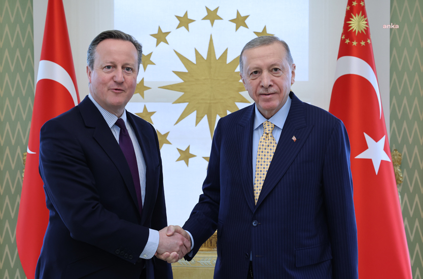 Cumhurbaşkanı Erdoğan, Birleşik Krallık Dışişleri Bakanı Cameron İle Görüştü