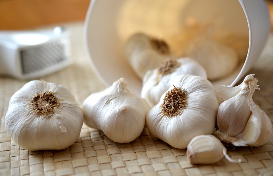 garlic-545223-960-720.jpg